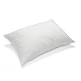 0043536_downdreamsrenewpillow.jpg